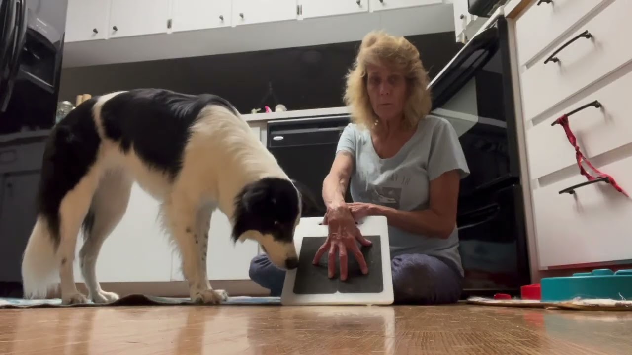 Teach your dog to wipe their paws & file their front nails