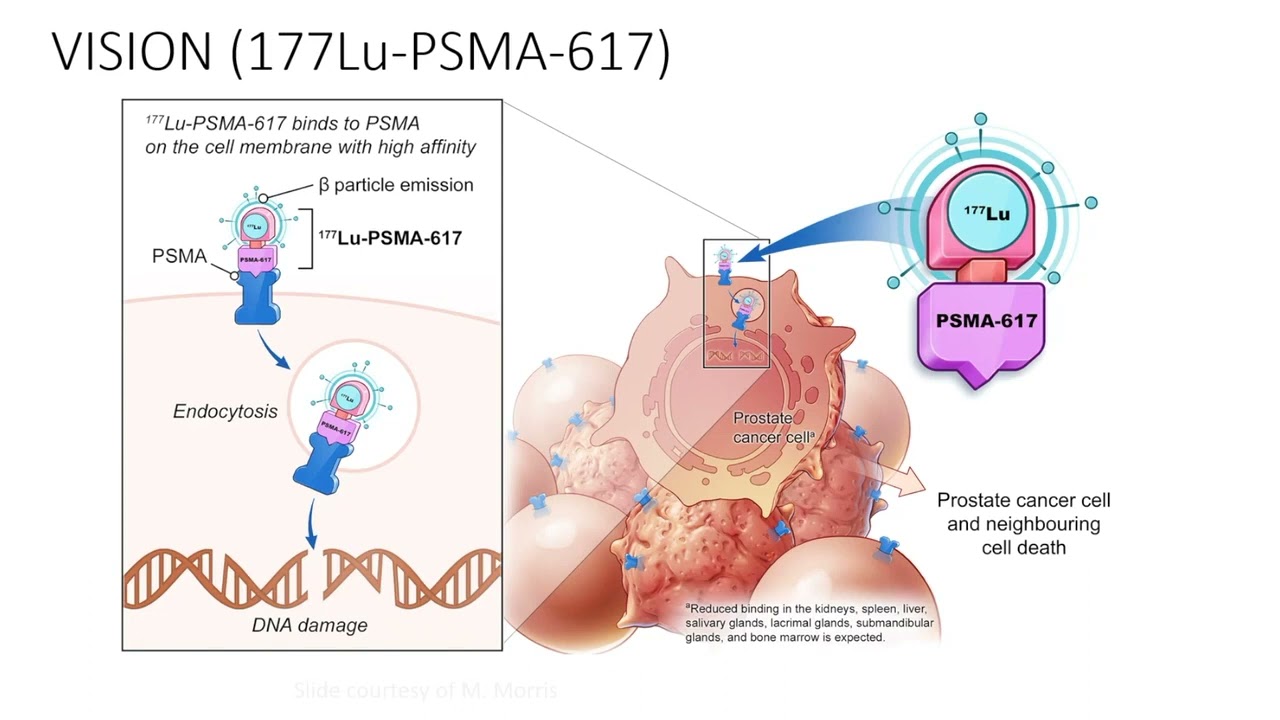 Highlights in Urologic Oncology From 2021 ASCO GU Cancers Symposium