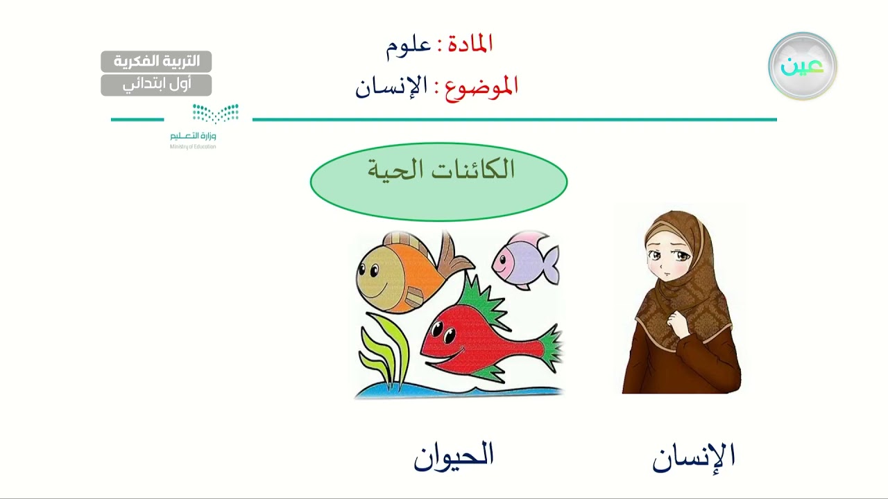 الانسان (3) - العلوم  - أول ابتدائي فكري 1