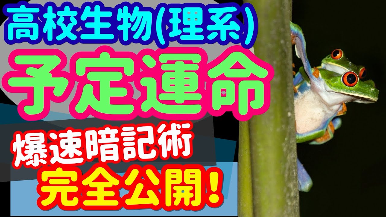 【高校生物 36】発生【原基分布図】を宇宙一わかりやすく