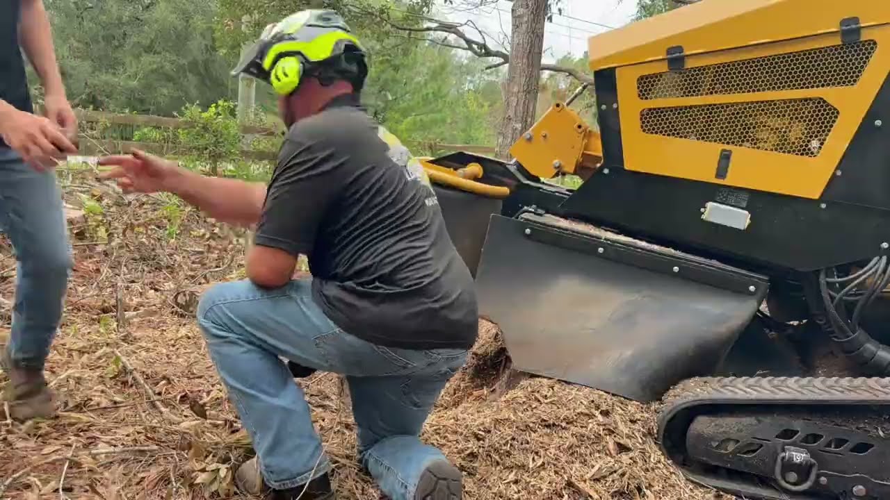15 STUMPS TO GRIND