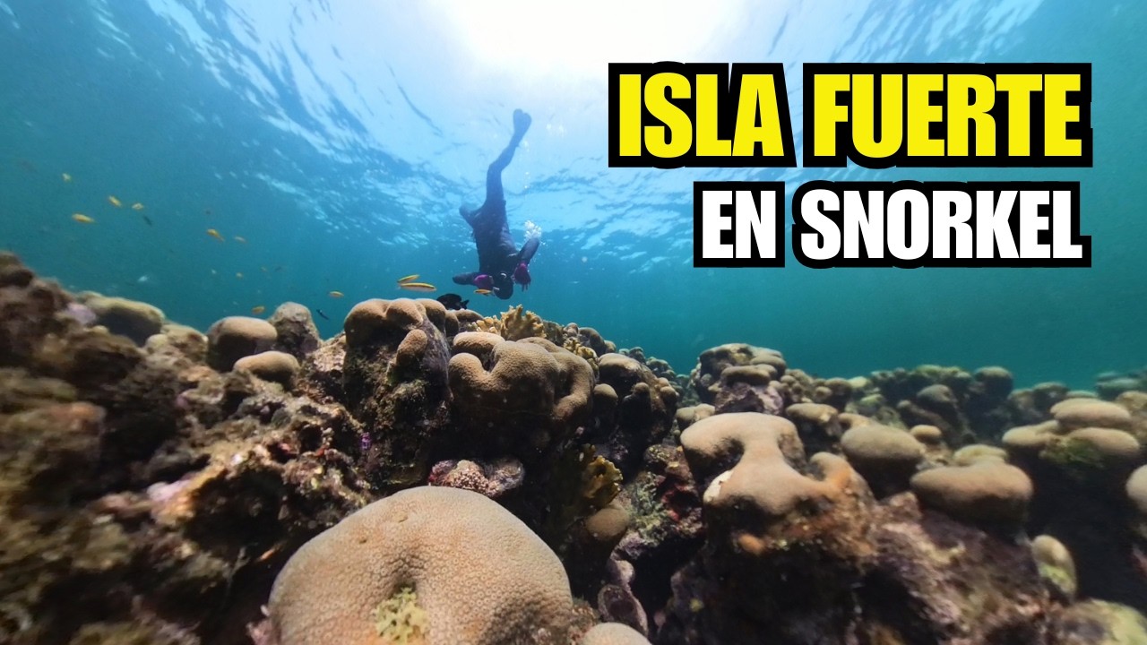 BARRERA de CORAL de ISLA FUERTE 😱 | Snorkel en el Caribe Colombiano