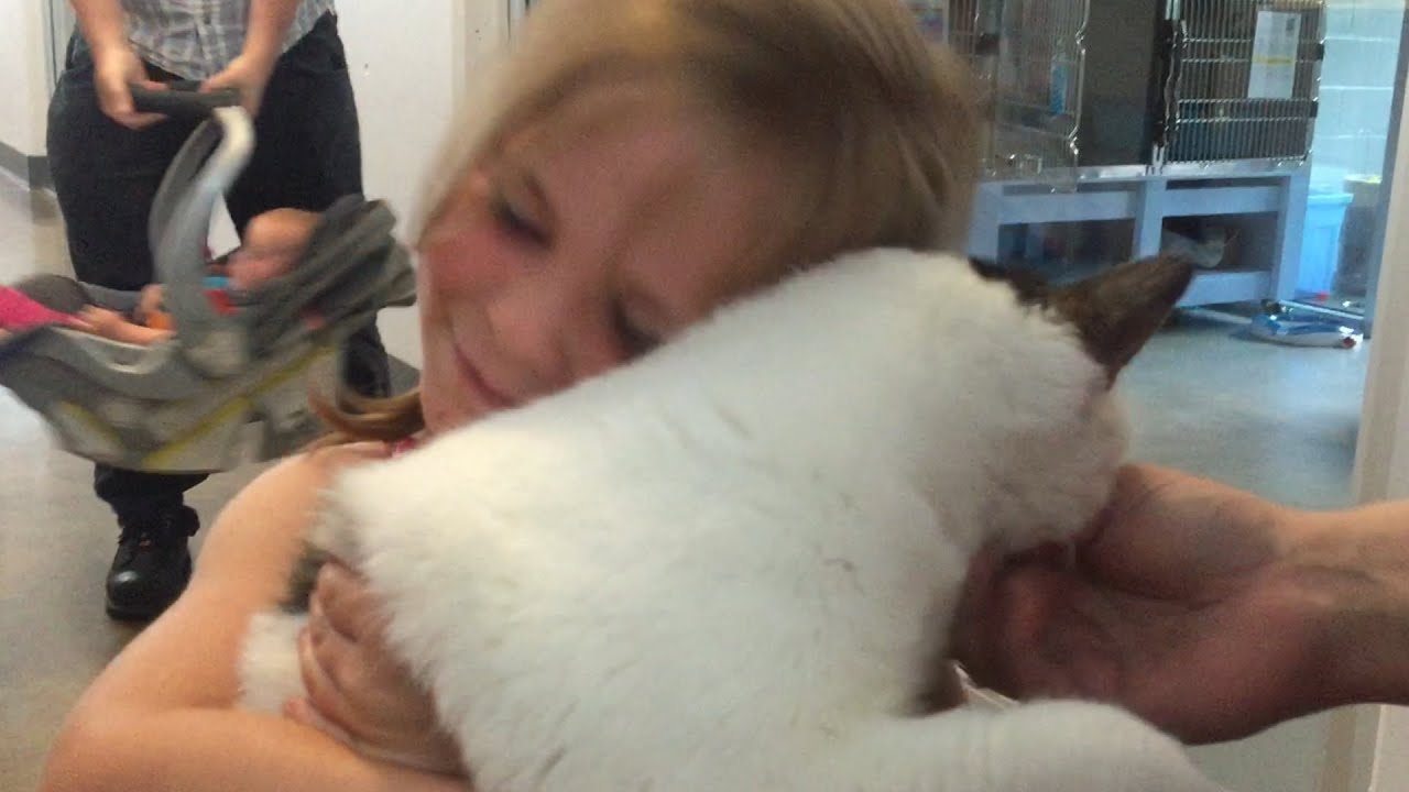 Little Girl Reunited With Her Lost Kitten 2020