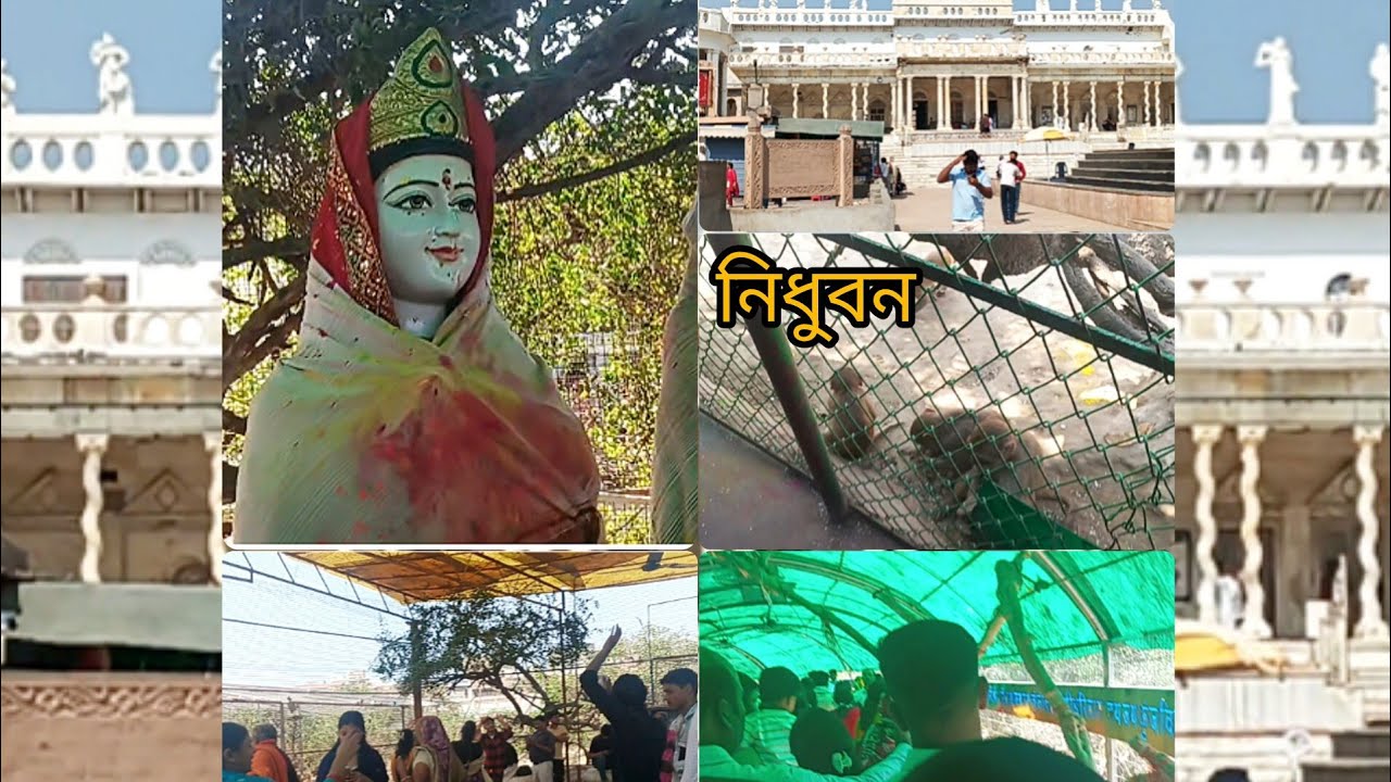 নিধু বন যে খানে শ্রী কৃষ্ণ রাধা রানি সর্বদাই বিরাজ করে 🙏🙏 রাধে রাধে #adrija lifestyle