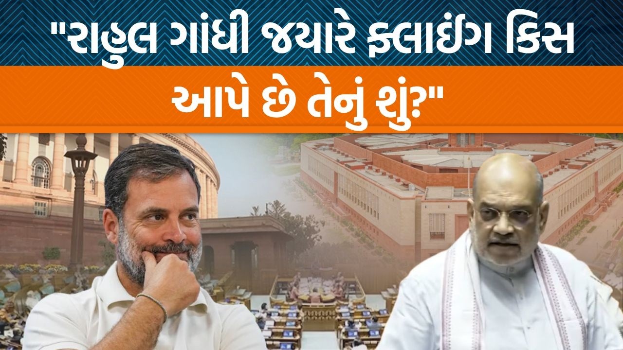 Lok Sabhaમાં ગૃહમંત્રી Amit Shahએ વિપક્ષના નેતા Rahul Gandhi વિશે શું ટિપ્પણી કરી?