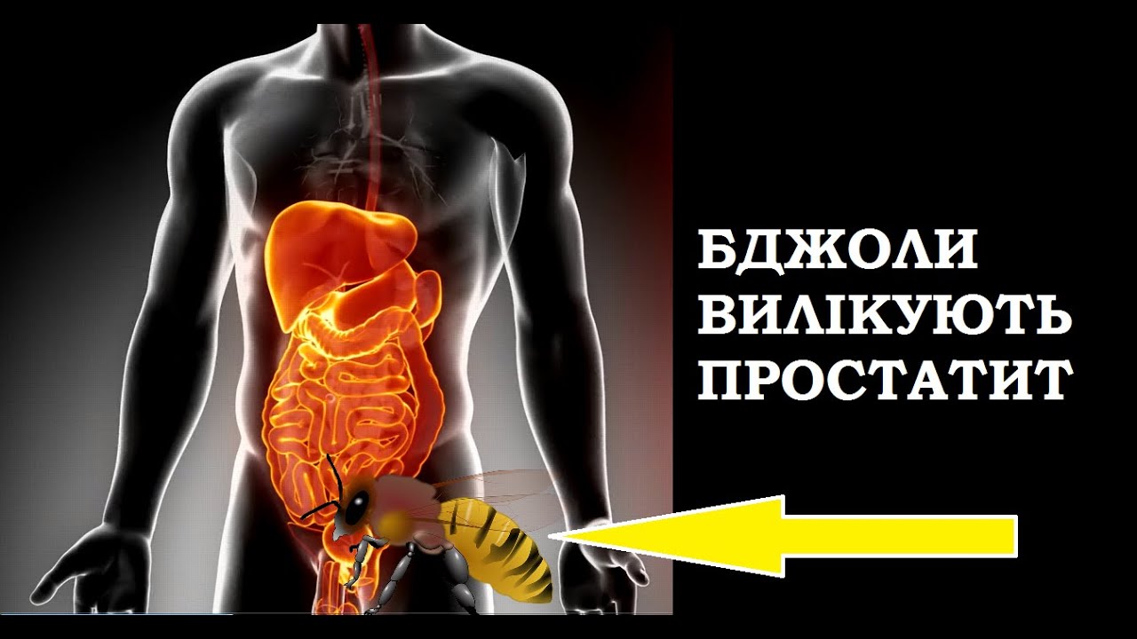 Як бджоли лікують простатит - Сильний природний засіб, але лікарі його ігнорують...