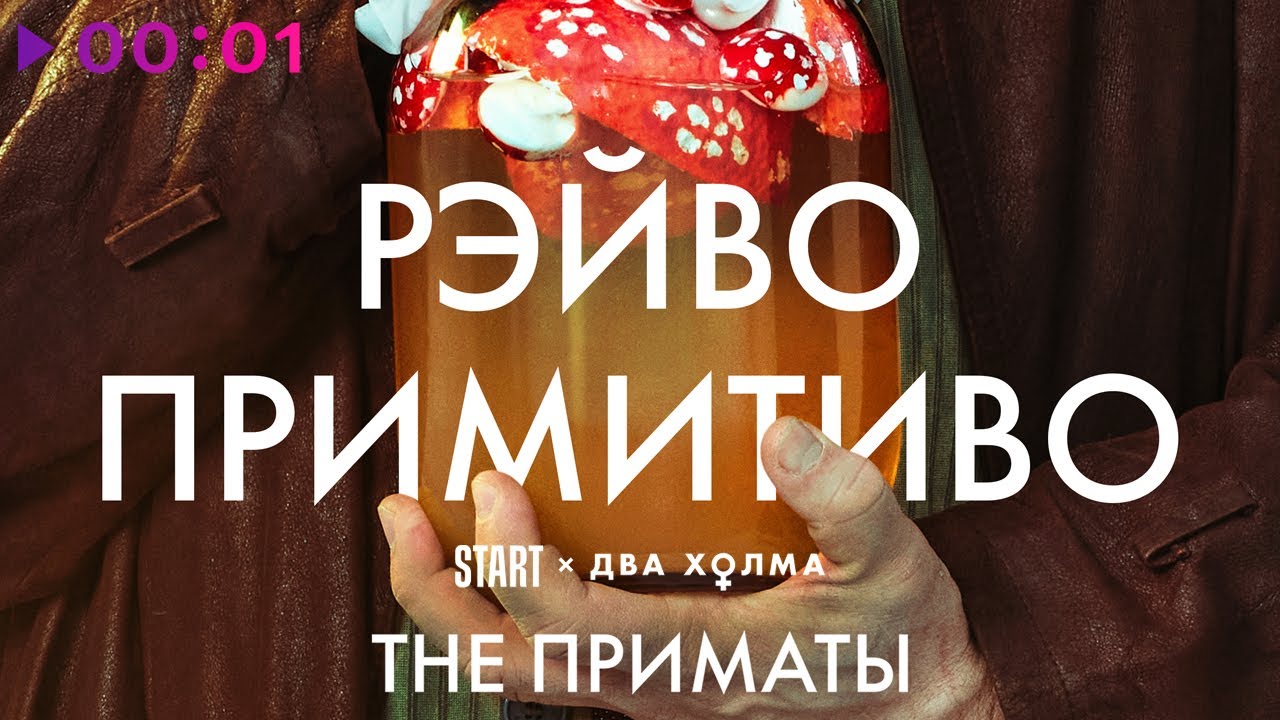 THE ПРИМАТЫ - РЭЙВО ПРИМИТИВО (из сериала &laquo;Два холма&raquo;)