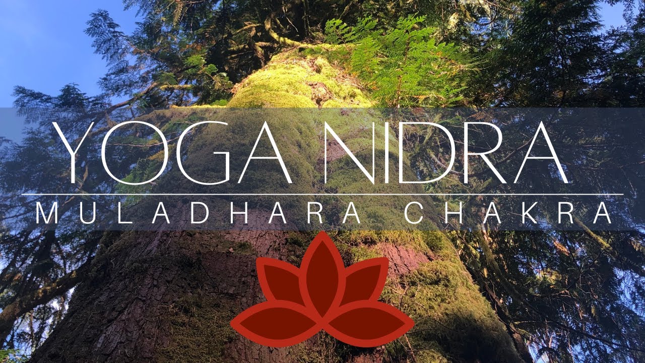 Root Chakra Yoga Nidra 40 Minutes for Deep Rest