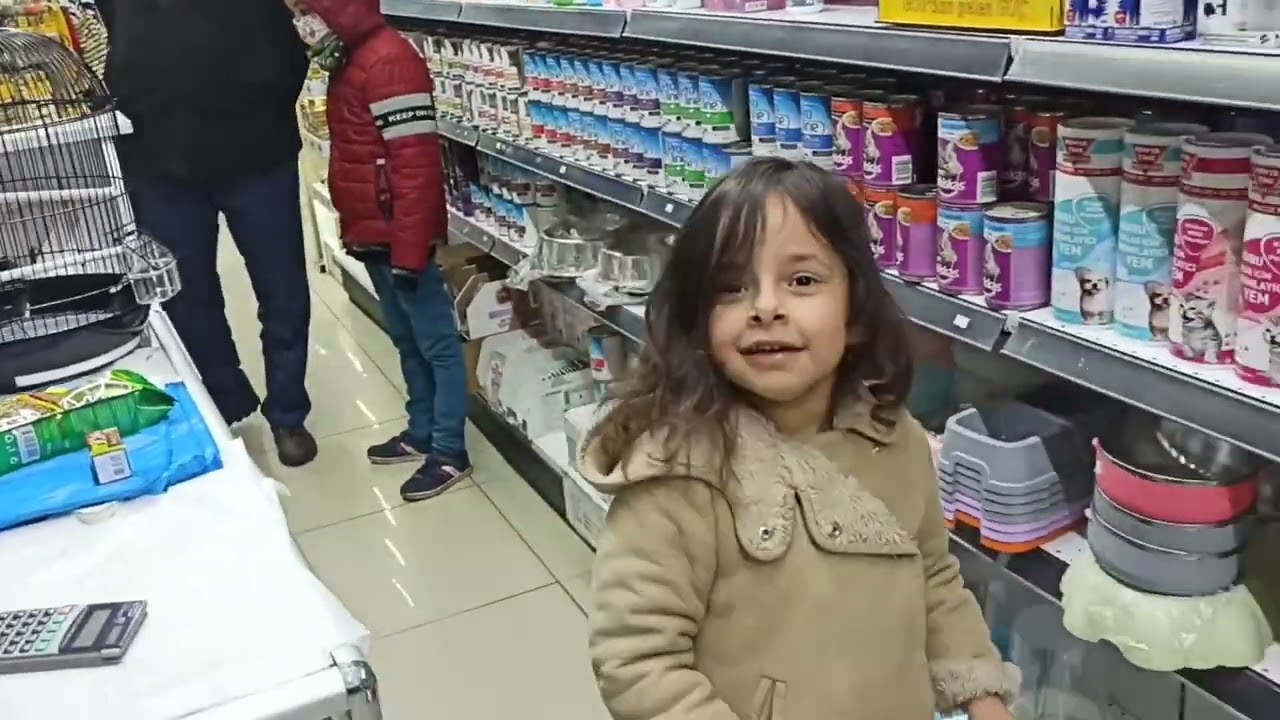 Evimize muhabbet kuşu aldık, kuş alacaklar izlesin #evdehobi #muhabbetkuşu #kuşkafesi #kuşbakımı