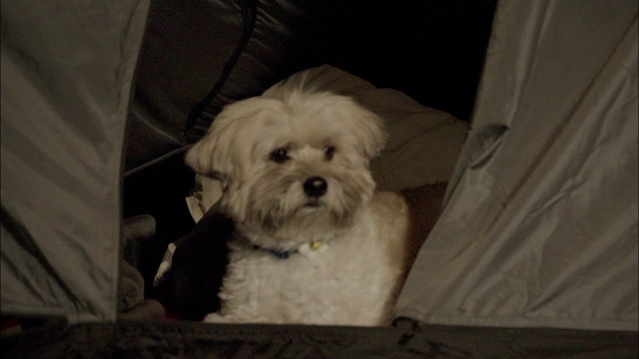 [4K]언제쯤 날씨 좋은날 캠핑할 수 있을까? | TFS 요토플러스 | 선택적고립