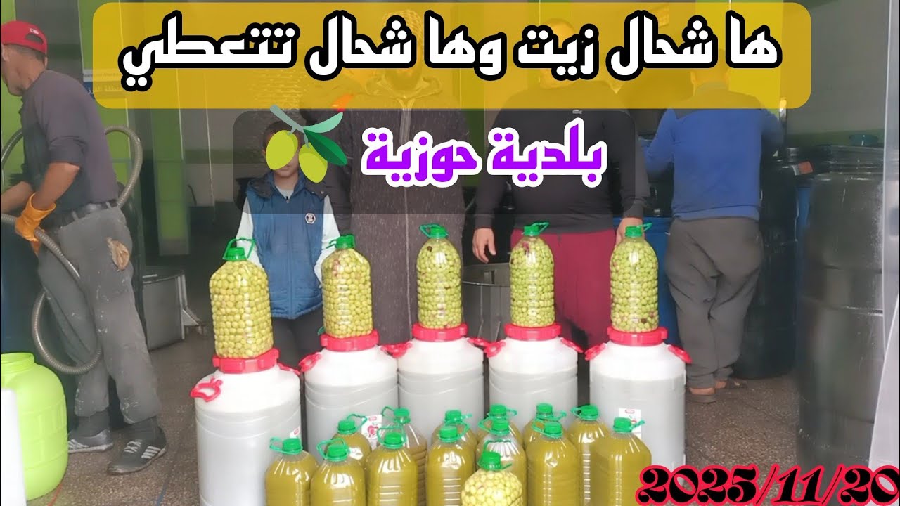 ها شحال زيت وها شحال تيعطي في قنطار 🫒 زيتون حوزي قلعة السراغنة 🇲🇦 2025/11/20