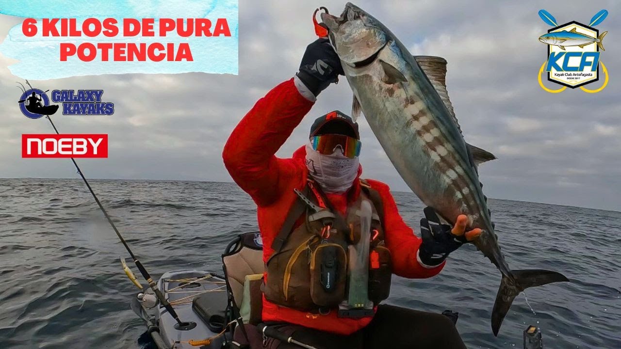 BONITO de 6 Kilos, equipos al máximo. 