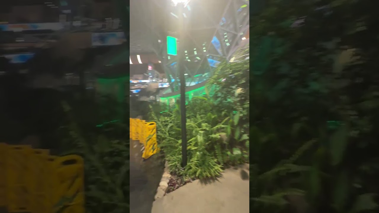 A jungle with birds creeping middle of the Airport 