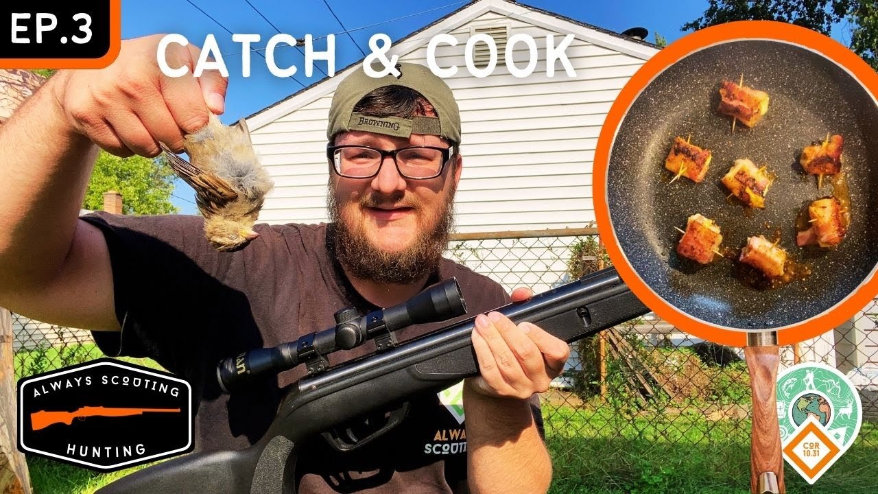 Airgun Hunting House Sparrow (Catch & Cook) - Always Scouting Hunting Ep.003