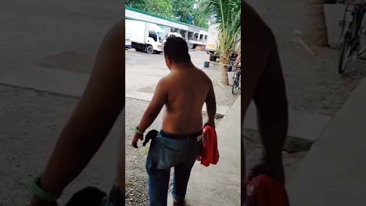 Kelakuan lucu seribu wajah