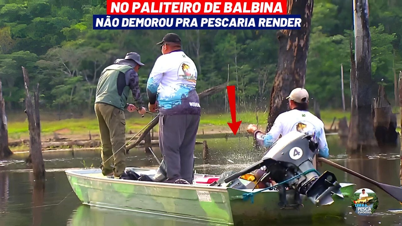 DEPOIS DA BRINCADEIRA COM OS PIRARUCUS ENCARAMOS O PERIGOSO PALITEIRO DE BALBINA ATRÁS DOS TUCUNARÉS