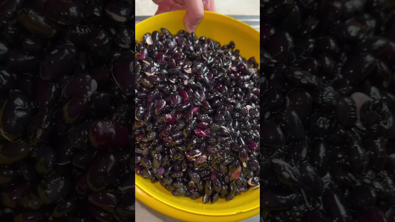 Como cocer frijoles negros | Yo Soy Mr.Tbone