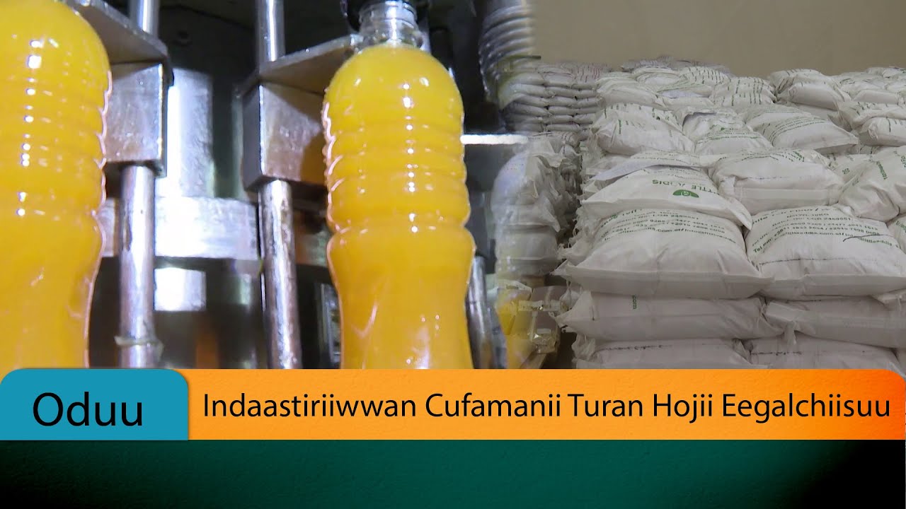 Indaastiriiwwan Cufamanii Turan Hojii Eegalchiisuu