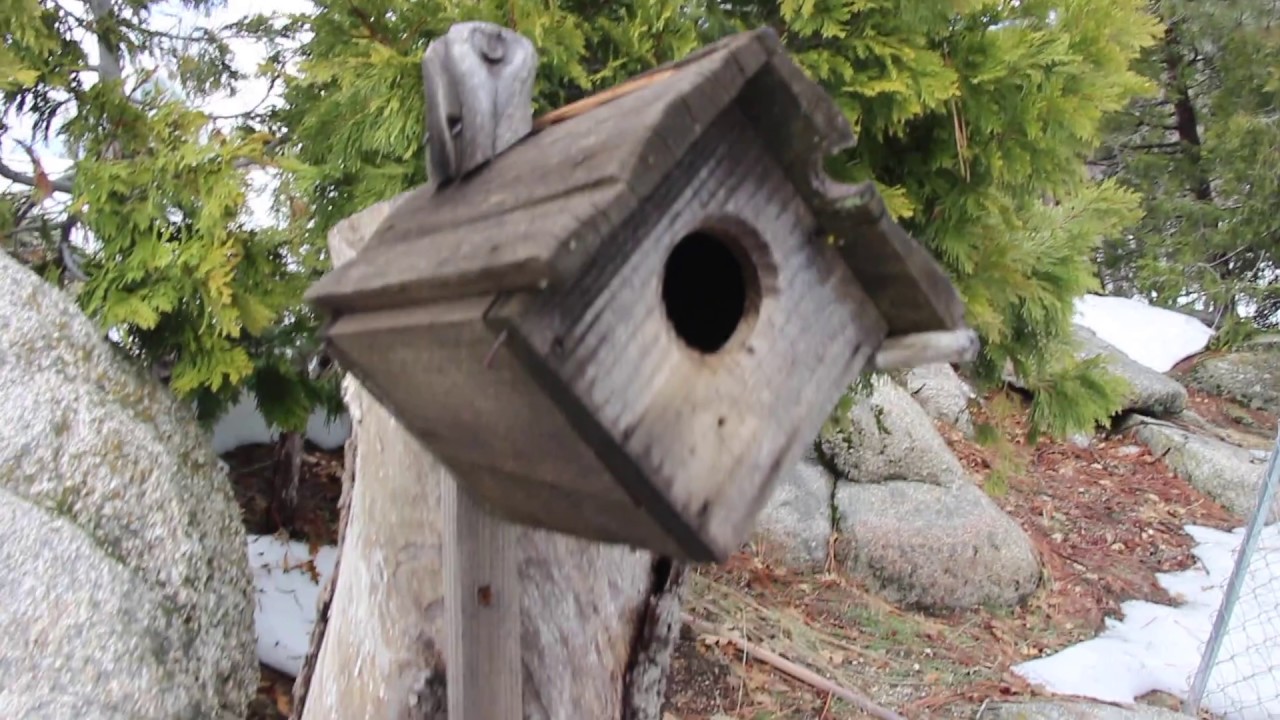 Little Cabin On The Lake, Arrowbear CA