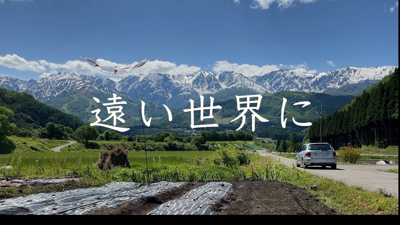 遠い世界に（歌詞・コードあり）