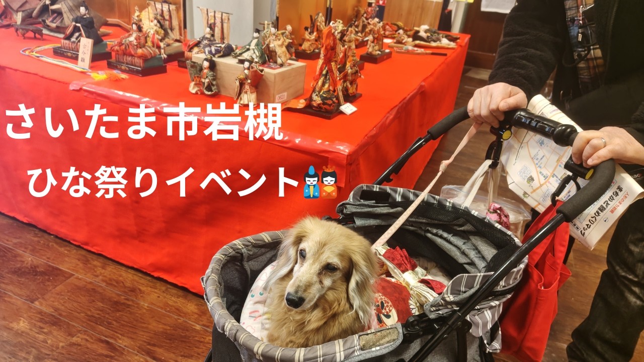 17歳🐶岩槻ひな祭りイベント#38