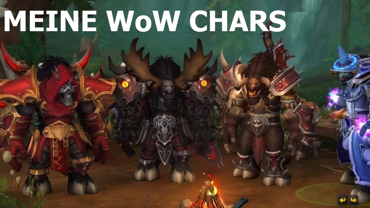Meine WoW Charaktere -  WoW Chars vor The War Within