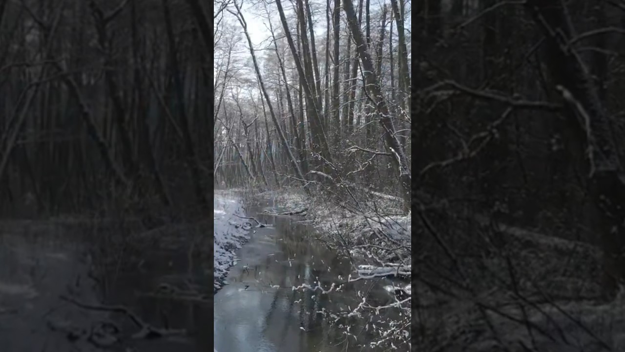 ❄️ Frosty Winter Mood ❄️