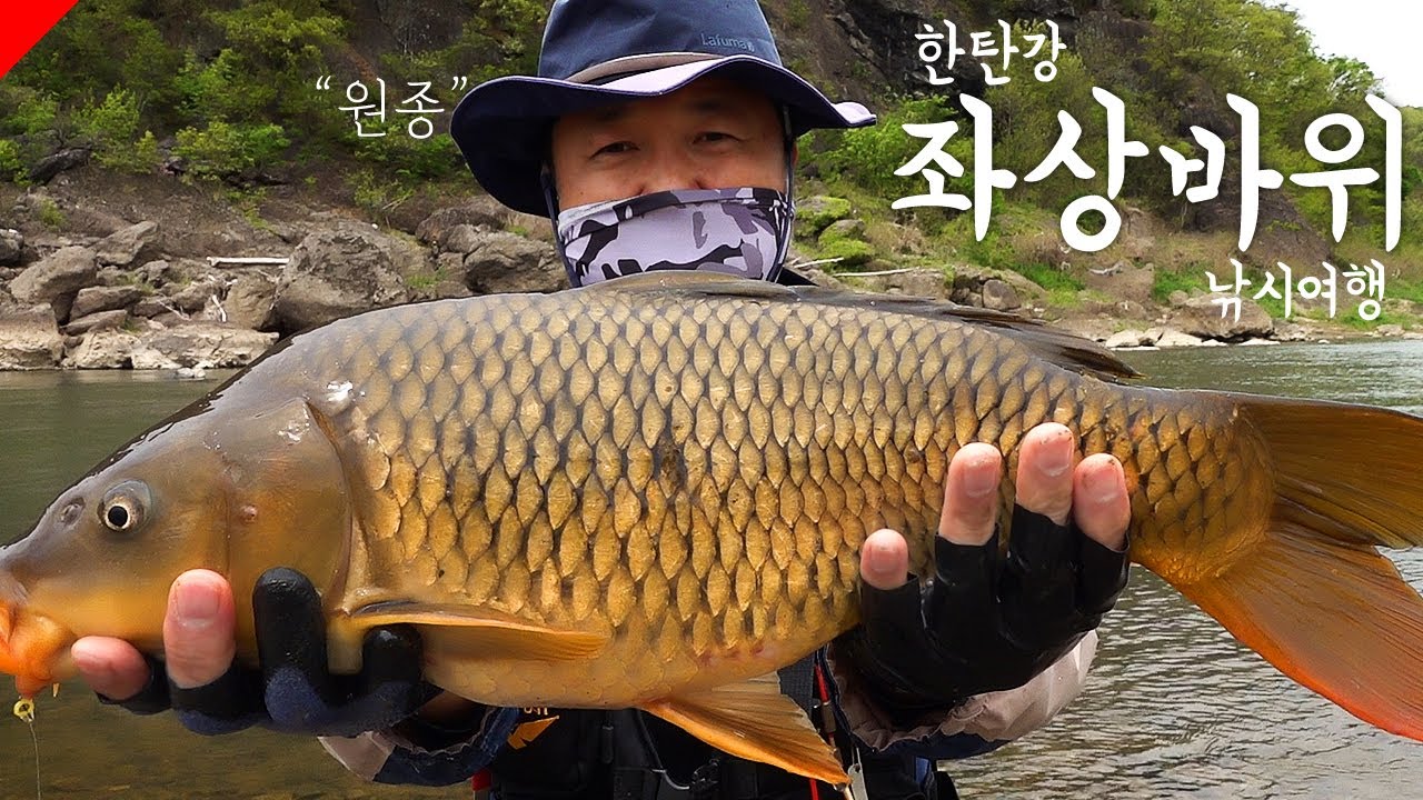 좌상바위 잉어 견지낚시 여행, 연천 전곡, 망향 비빔국수 본점, 카페 리히트, river fishing, rapids,  fishing, carp, carpfishing