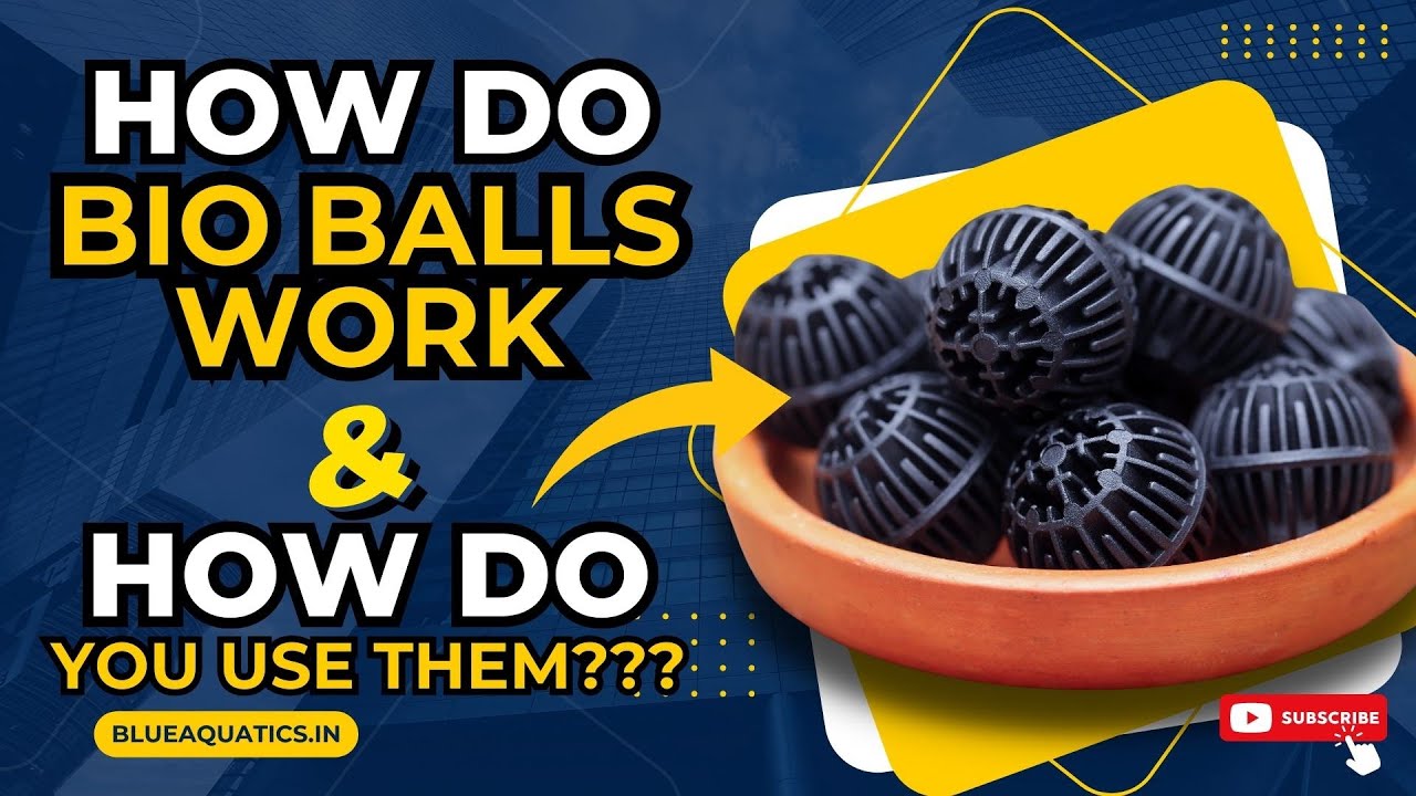 How Do Bio Balls really Work and How to use these Balls for Filtration? - Must Watch
