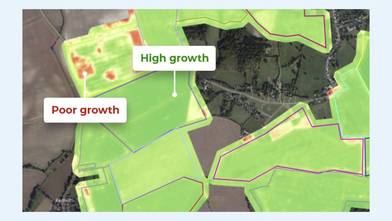 How to use Field Health to identify crop variation with fieldmargin