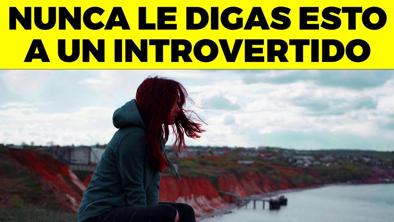 NUNCA LE digas ESTAS 15 COSAS A UN INTROVERTIDO