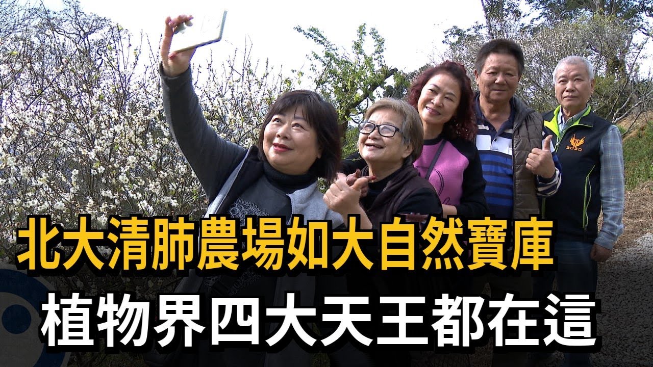 北大清肺農場如大自然寶庫　植物界四大天王都在這－民視新聞