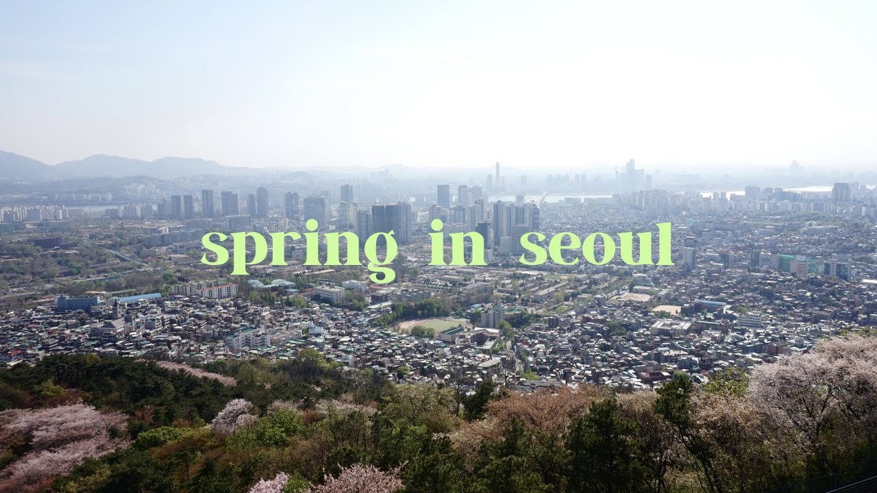 spring in seoul 2017 🌸 a travel diary