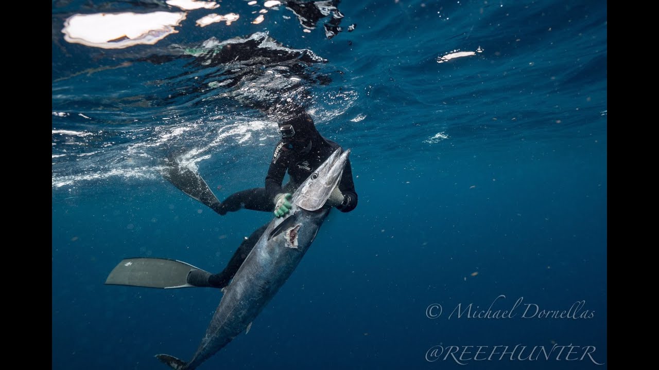 Wahoo Mayhem - Spearfishing Texas