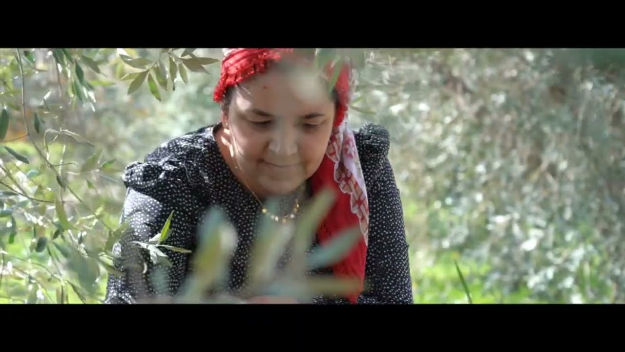عمار سيدو #efrin اي كونديمن#