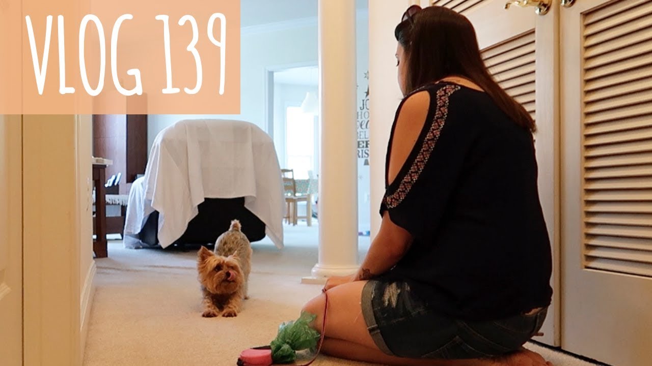 ¿Qué paso el 2 y 4 de Junio? Últimos días en Washington DC #139