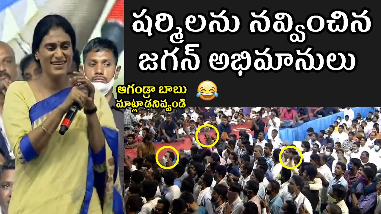 YS Sharmila Laughs on Jagan Fans Comments | Political Qube