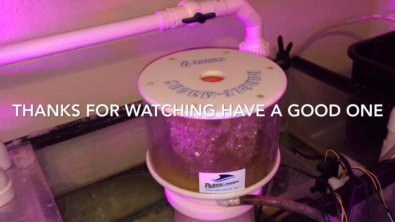 DIY Protein skimmer over activating safety shutdown to protect your sump and make maintenance easier