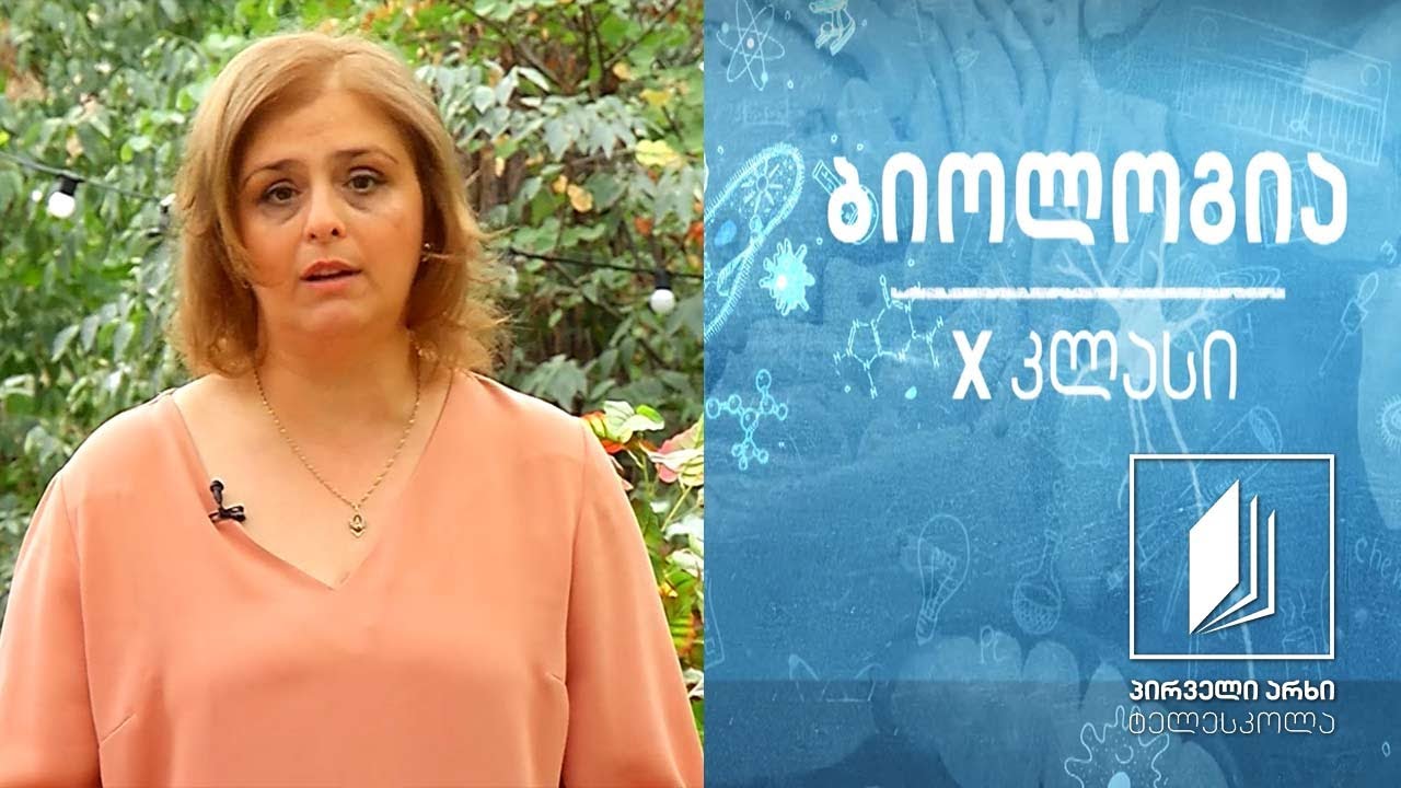 ბიოლოგია X კლასი - საჭმლის მომნელებელი სისტემა #ტელესკოლა