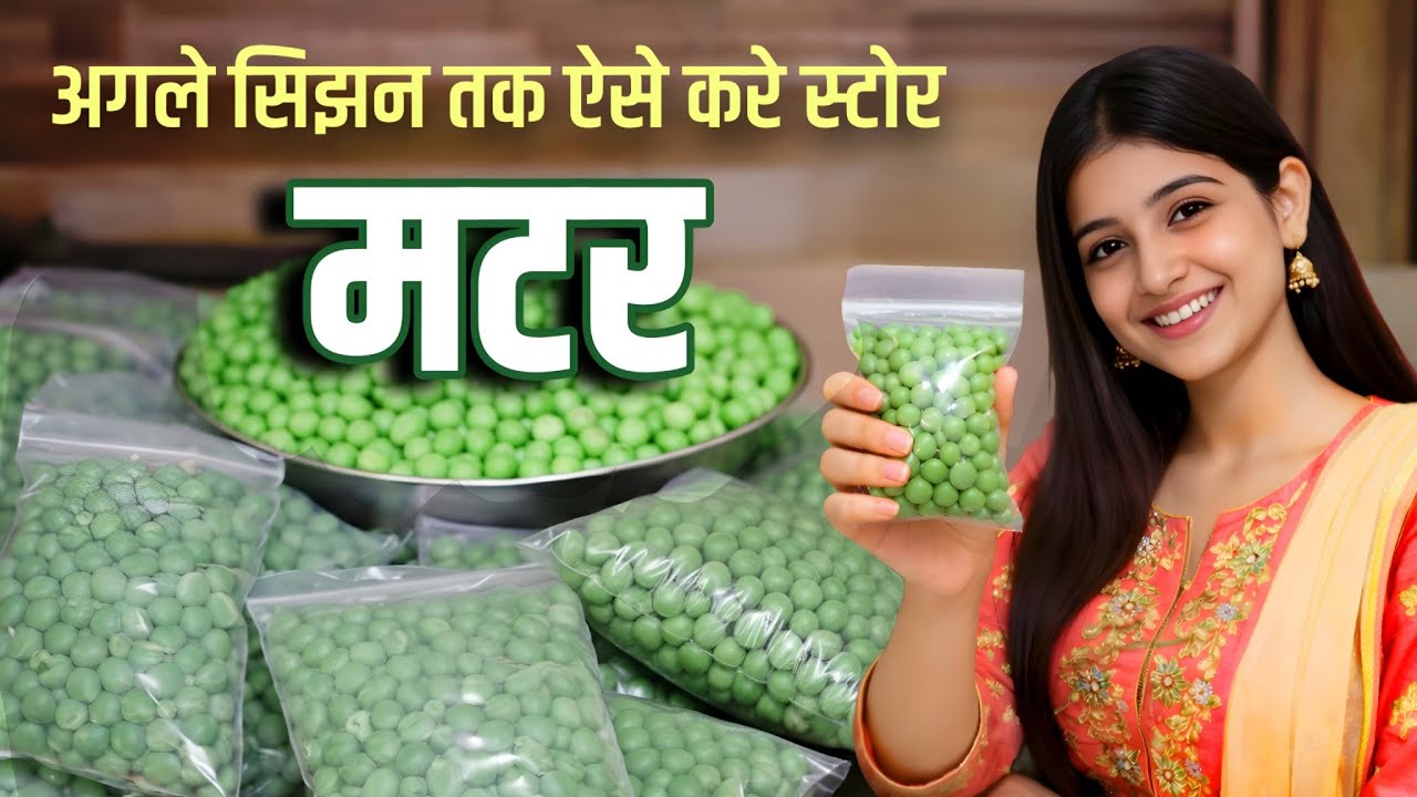 🥬 अब मटर होंगे सालभर फ्रेश | Easy Green Peas Storage Method 🥬 🫛 
