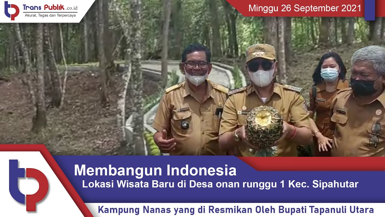Regent / Bupati Tapanuli Utara Resmikan Kampung Nenas di Desa onan runggu 1 Kecamatan Sipahutar