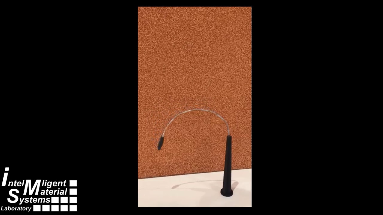 Continuum and Soft Robotic with Shape Memory Alloy (SMA)