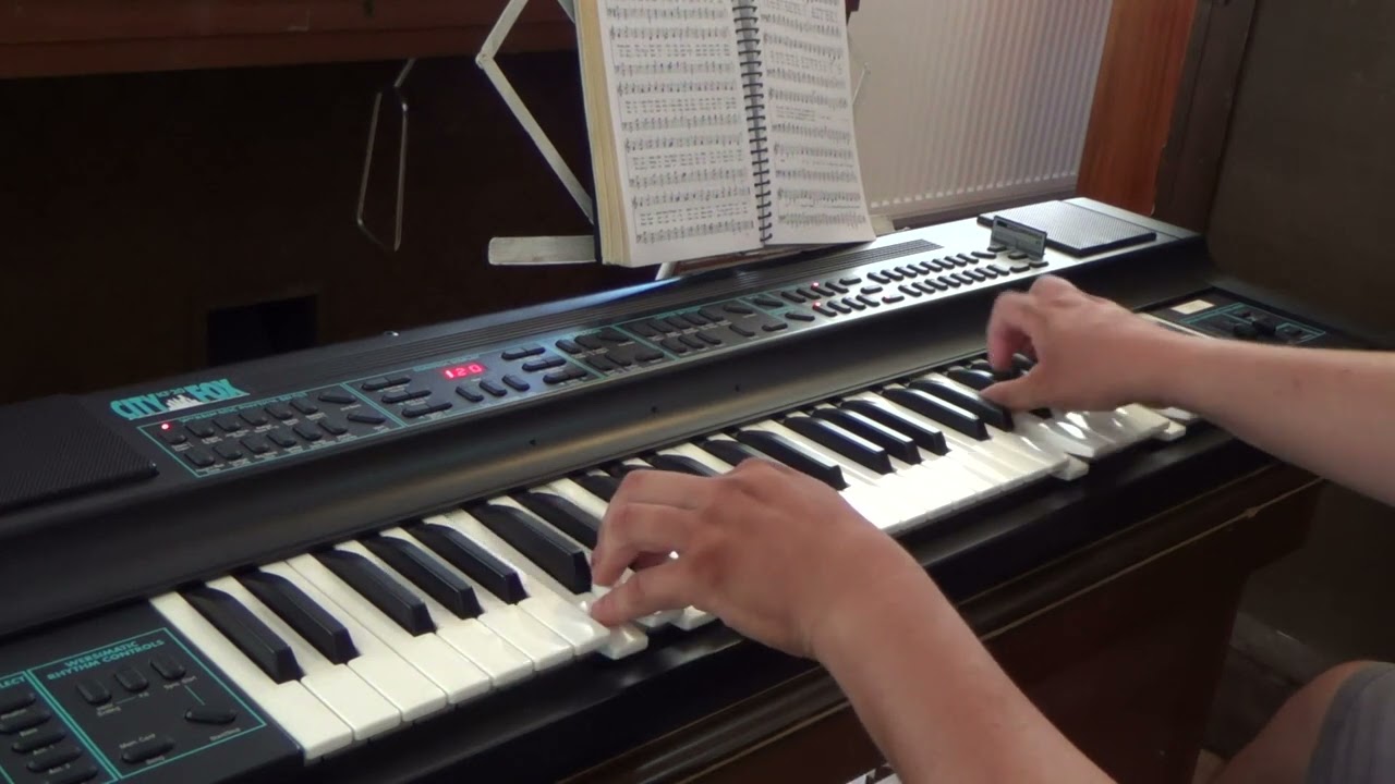 Peregrino Sou No Mundo | Organista Bujor Florin Lucian tocando o Órgão Wersi City Fox 20
