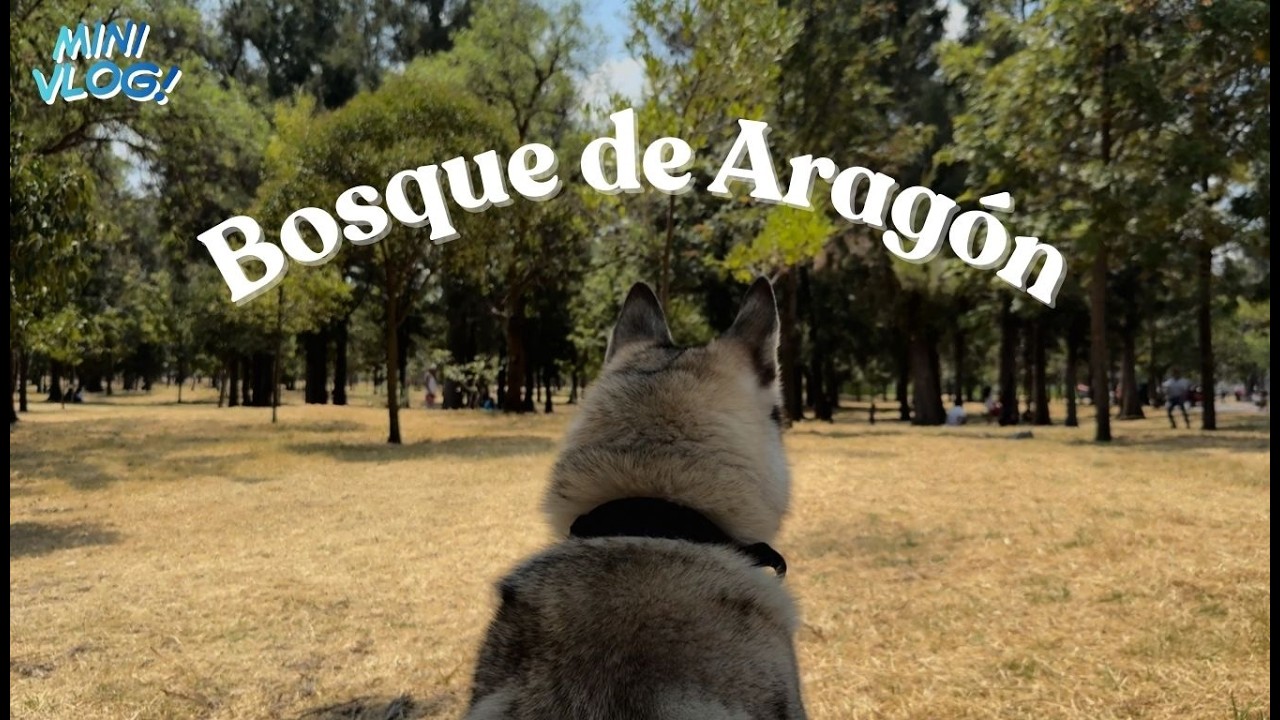 🐾 Un día perfecto en el Bosque de Aragón | Paseo con mi novia y Balto 🌿❤️