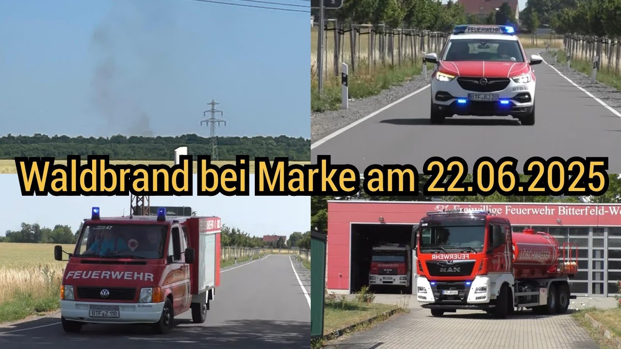 🔥Großer Waldbrand bei Marke - Feuerwehr mit WLF/AB-Wasser im Einsatz am 22.06.2025 - Raguhn-Jeßnitz!