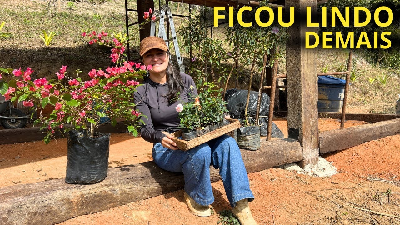 VEJAM O PAISAGISMO RÚSTICO DO CHALÉ DO SÍTIO/Bora pra Roça?