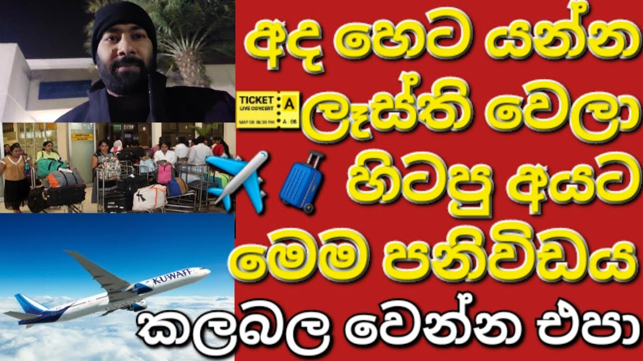 🇰🇼✈️🧳🎫කවුරුත් බයවෙන්න එපා කැන්සල් වෙන්නෙ නැත #sarfanbavlog #kuwaitsinhalanews #srilankabreakingnews