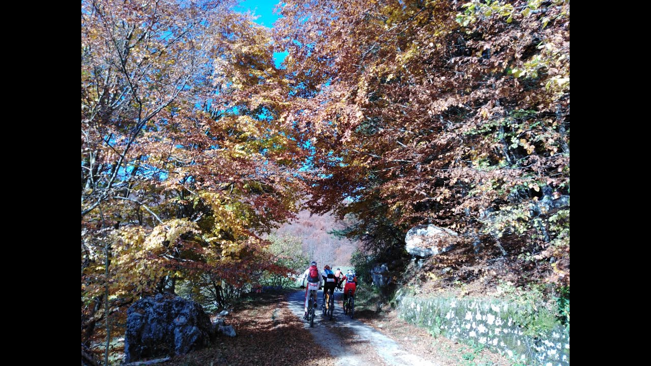 Colori d'Autunno nel Cansiglio in MTB - 31 ottobre 2020 - (parte 1) - Action Cam by Keno MTB