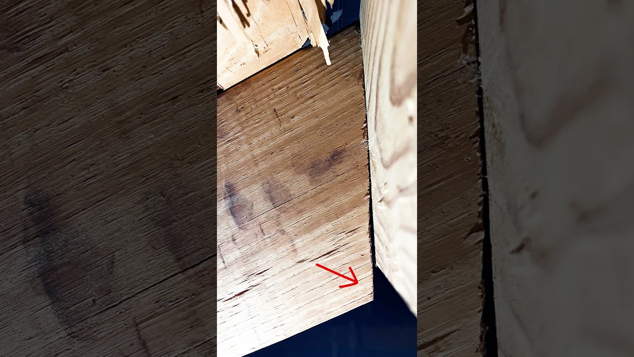 Roof Rafter to Ridge Board Mistakes #carpentry #framing