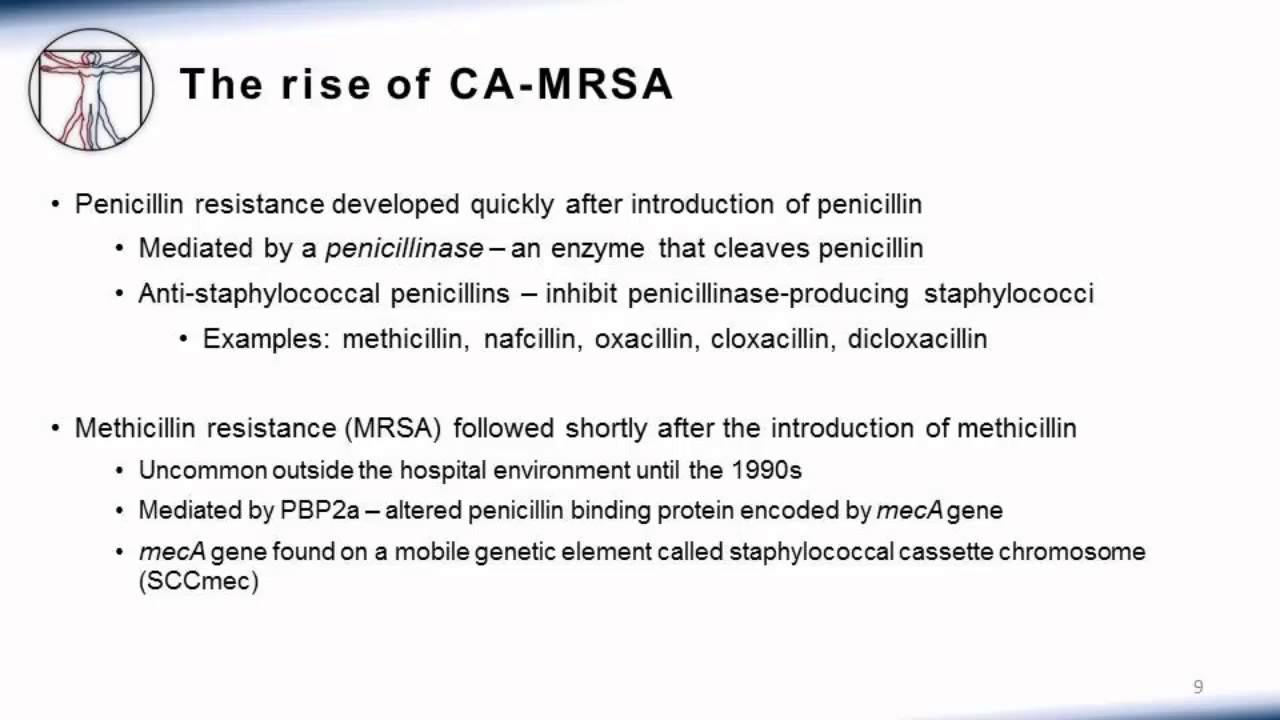 1. Staph Epidemiology